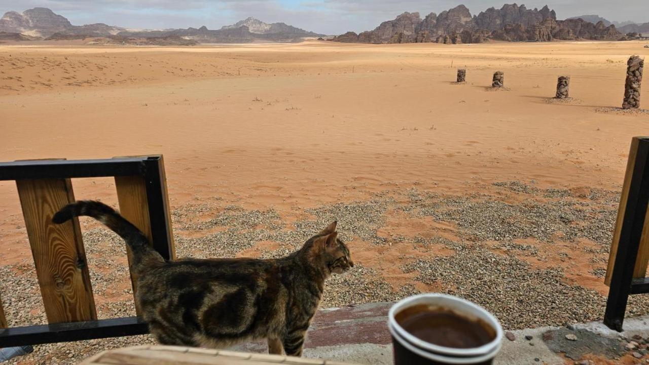 ホテル Bedouin Life Camp ワディ ・ラム エクステリア 写真